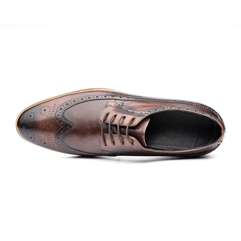 Perforato Wingtip Derby