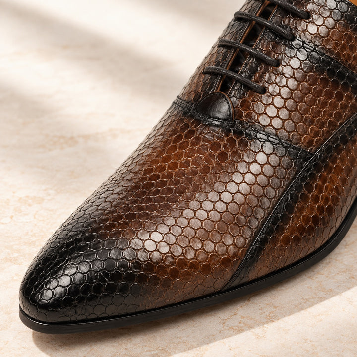 Viper Scale Oxfords — ce_metastatic_01